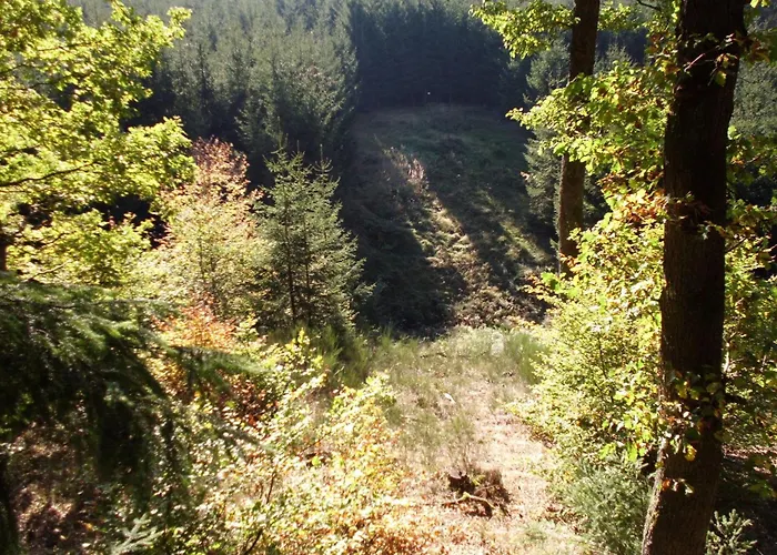 מלון Delightful In With Private Garden 3*